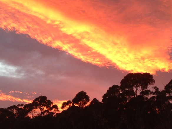 18.sunrise 3.6.13 002