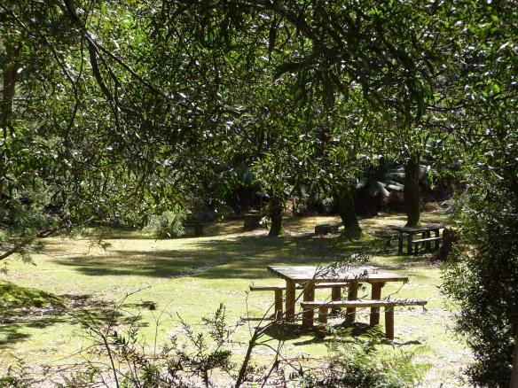 17.picnic area