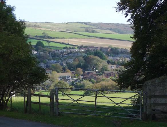 18.Owl &amp;Falconry Centre