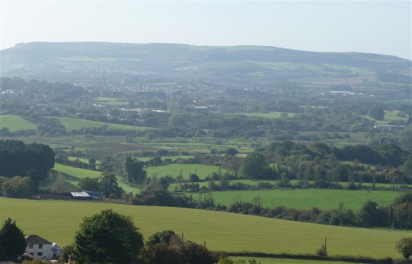 6.Adgestone Vineyard View