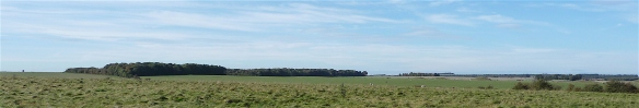 6.Salisbury Plain
