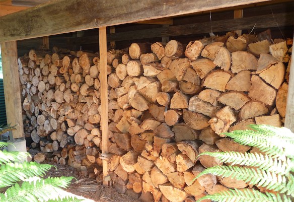 23.woodshed1
