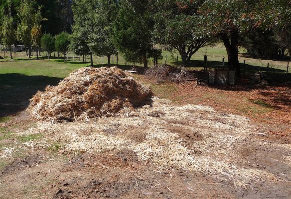 3.mulch pile3