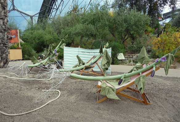 10.mediterranean biome