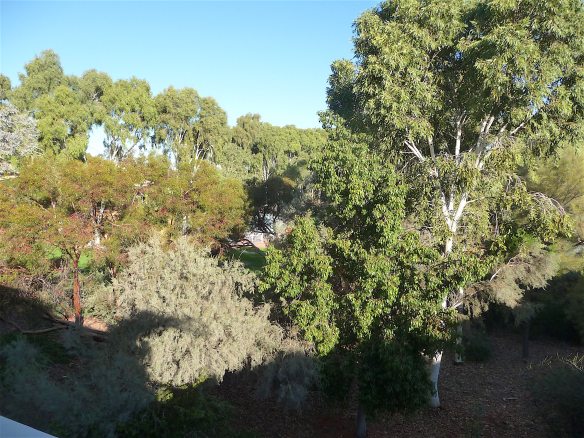 11.view from balcony