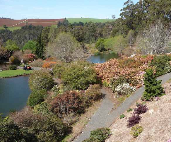 2-lake-grebe-lake-pearl