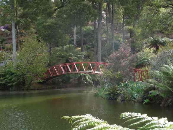 77-olympus-bridgelake-grebe