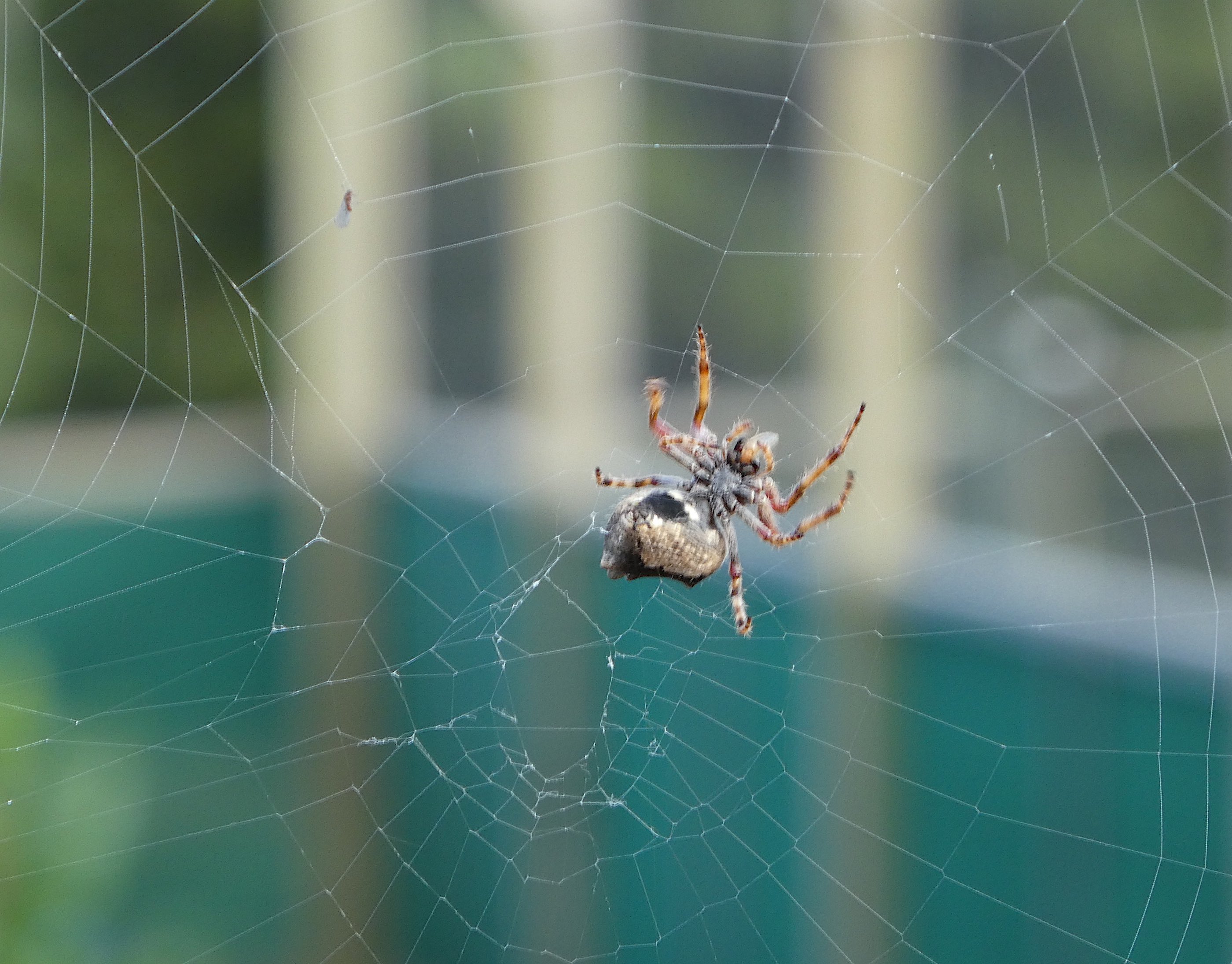 4-breakfast-on-board