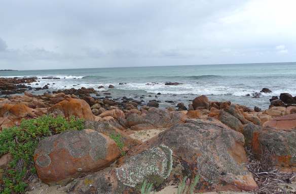 1-geographe-bay-meelup