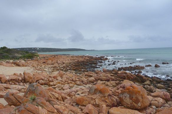 5-geographe-bay-meelup