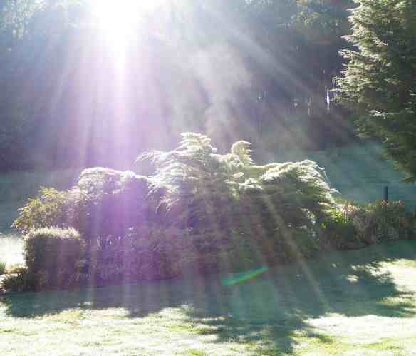 10.morning sunlight