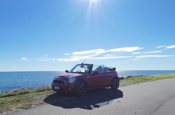 5.Cooper at Preservation Bay