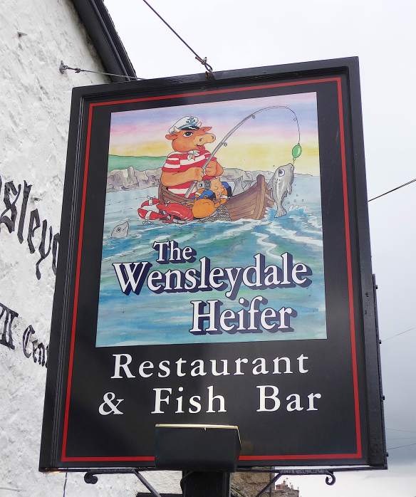 13.Wensleydale Heifer