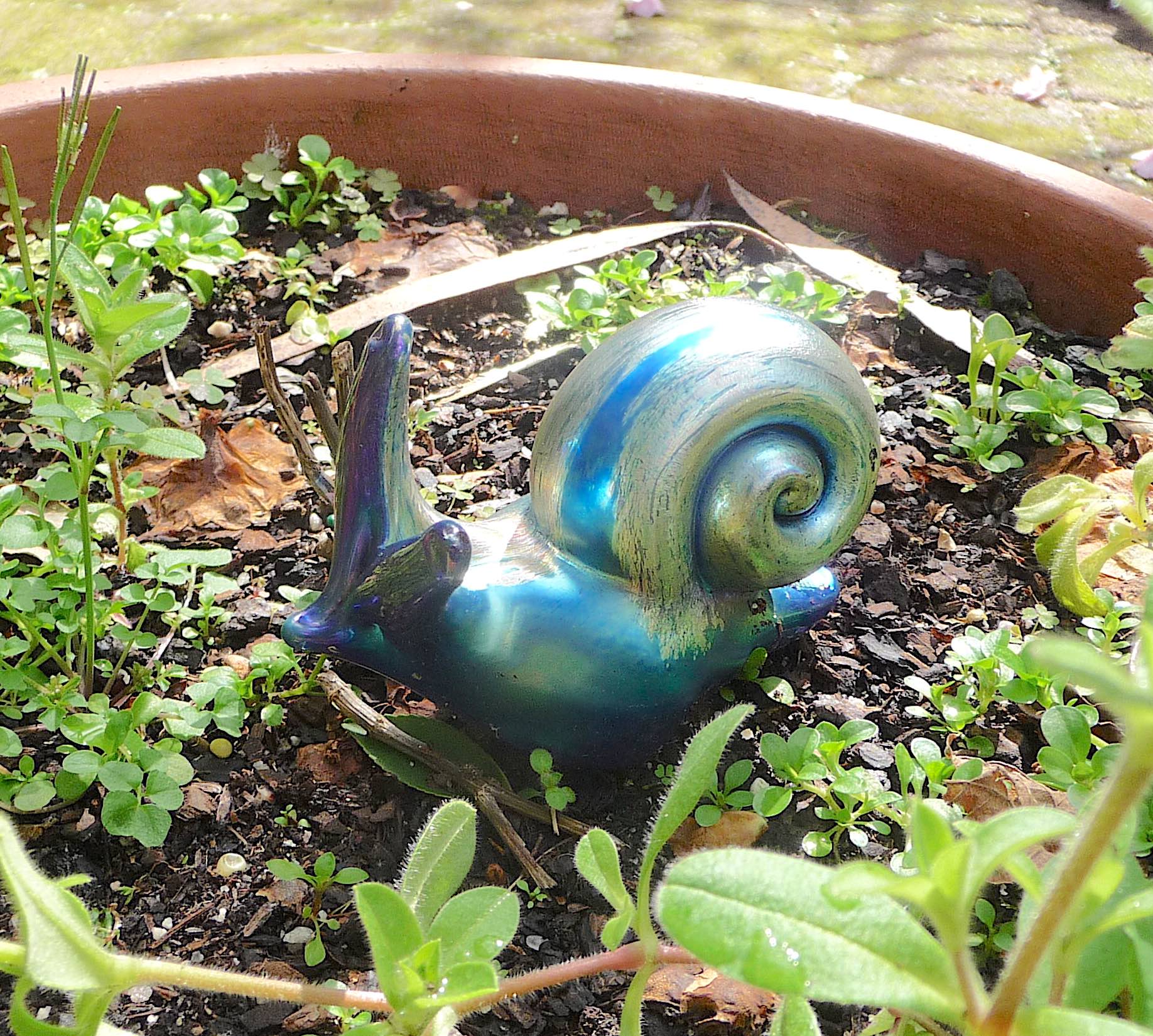 45.snail