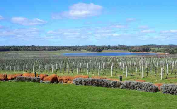 7.vineyard &amp; dam