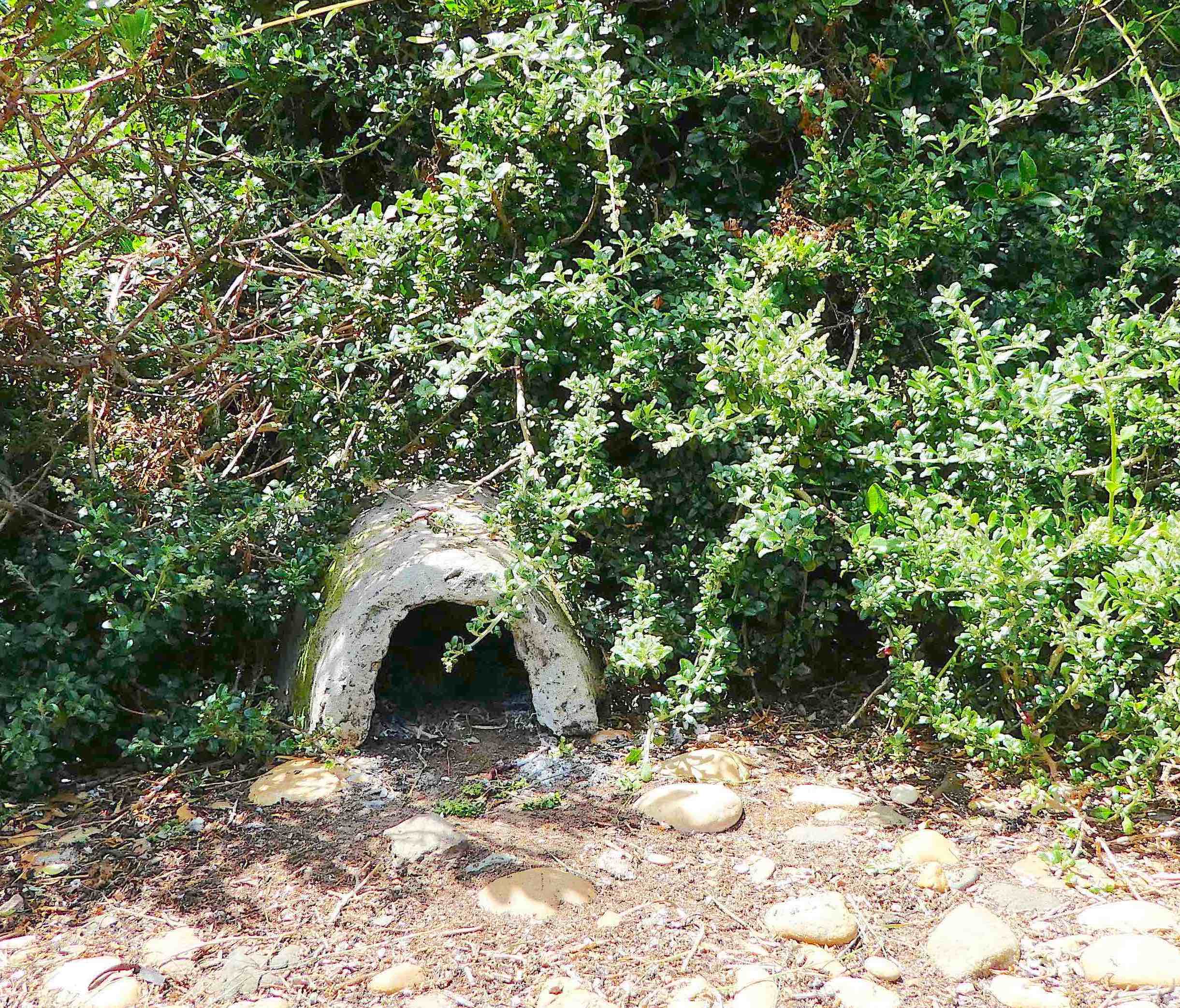 1.penguin burrow