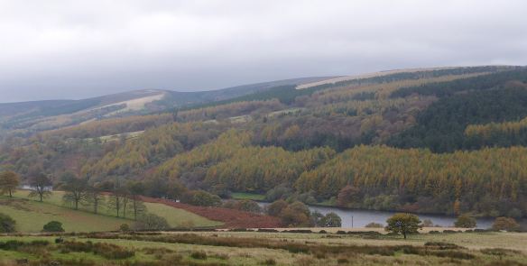 2.Peak District National Park