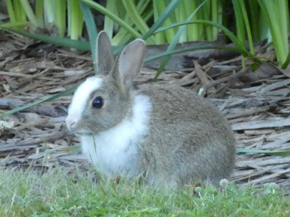 9.Phew, that was close