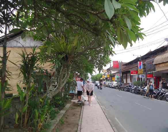 9.Ubud