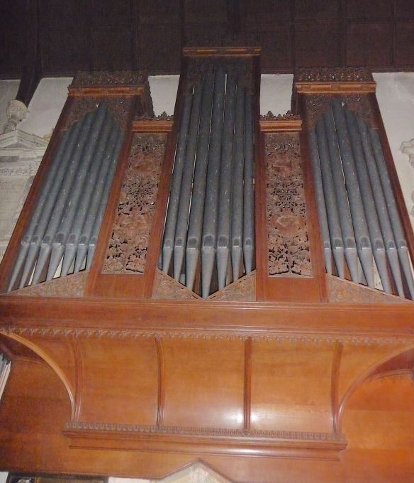 8.the organ