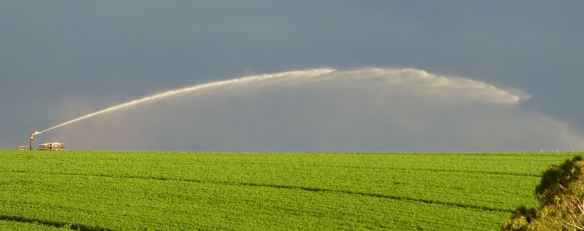 1.irrigator