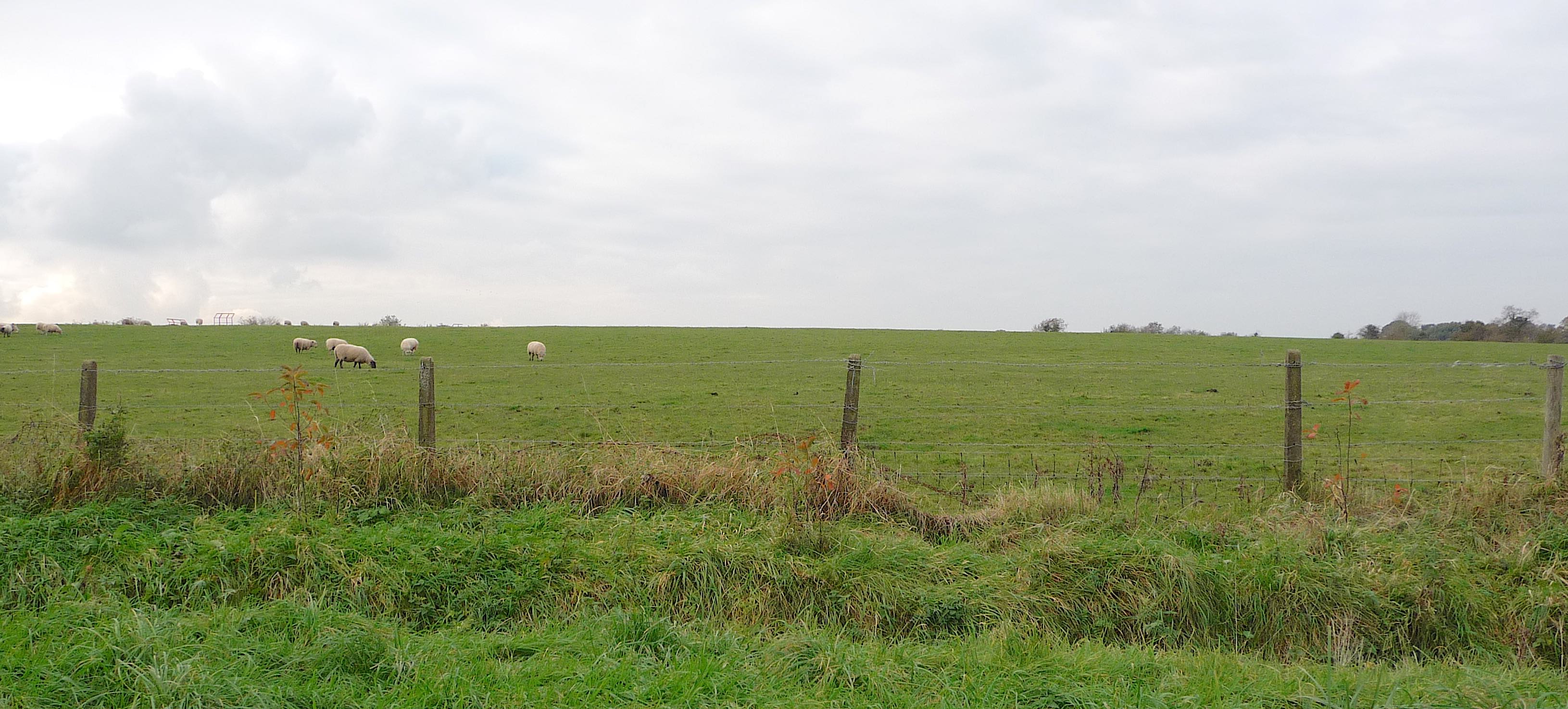 1.Tourist Information Dublin