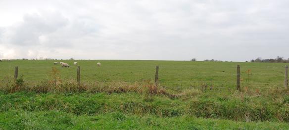 1.Tourist Information Dublin