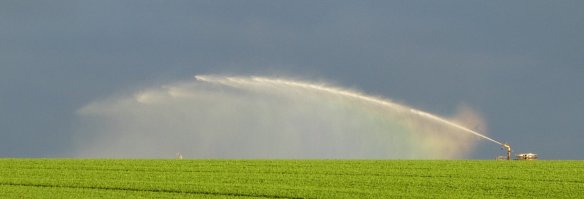 2.irrigator