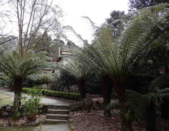 2.The Gorge Restaurant