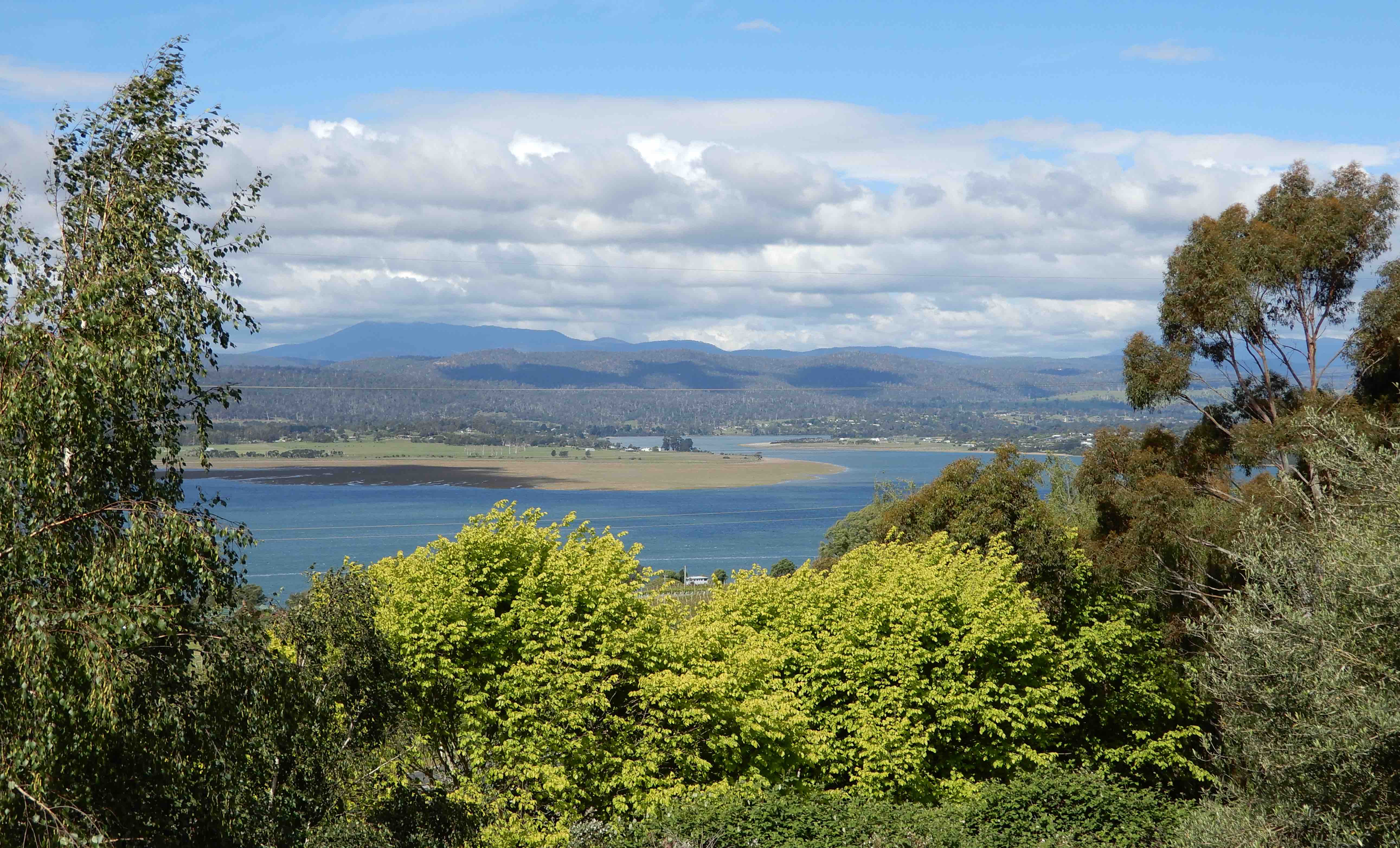 40.Tamar Ridge Vineyard