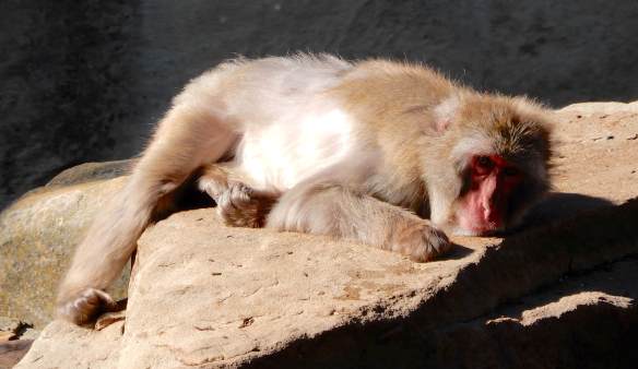 29.how shall i spend the day?