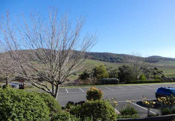 11.view from cellar door