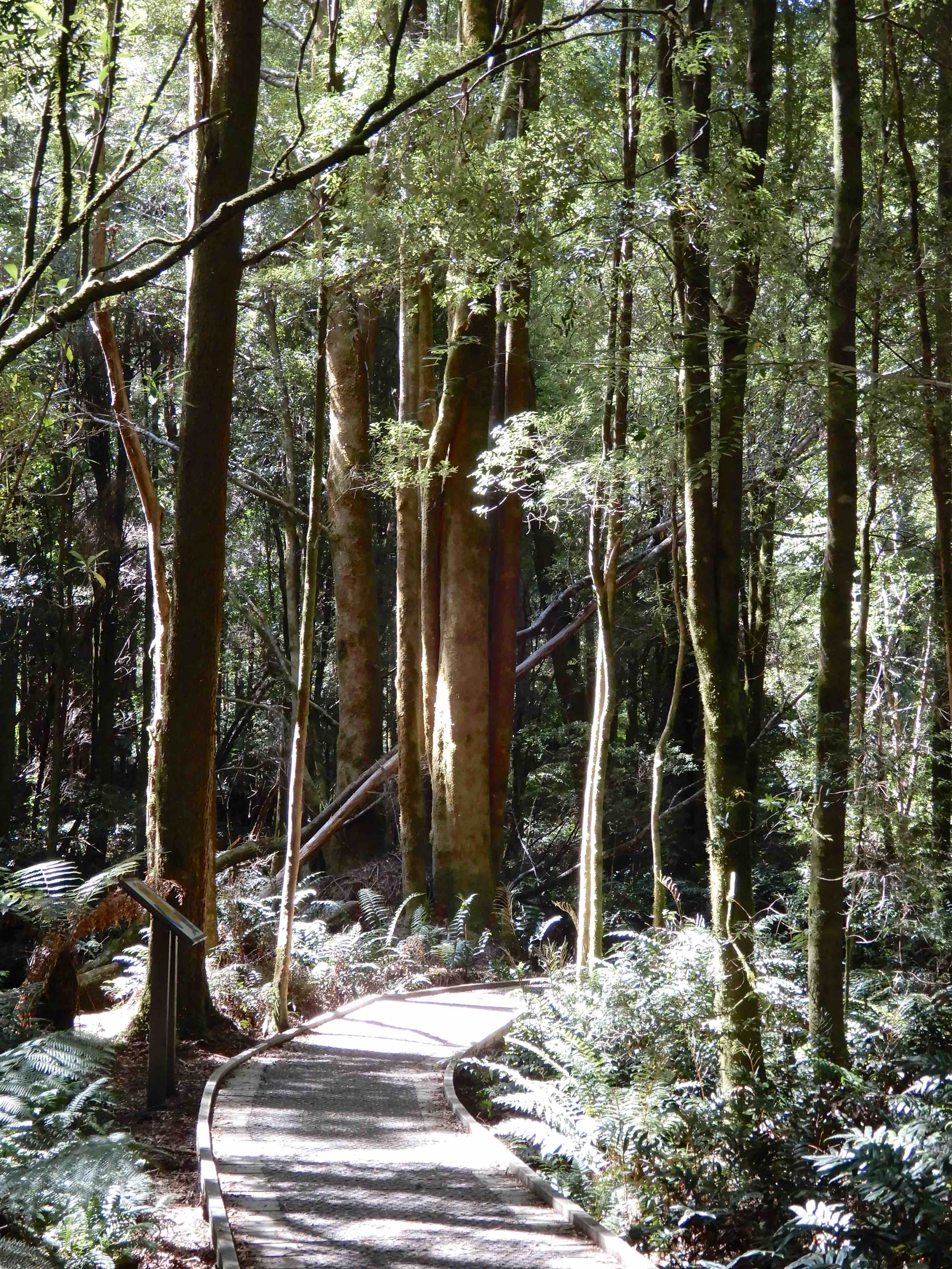 4.Nelson Falls Nature Trail
