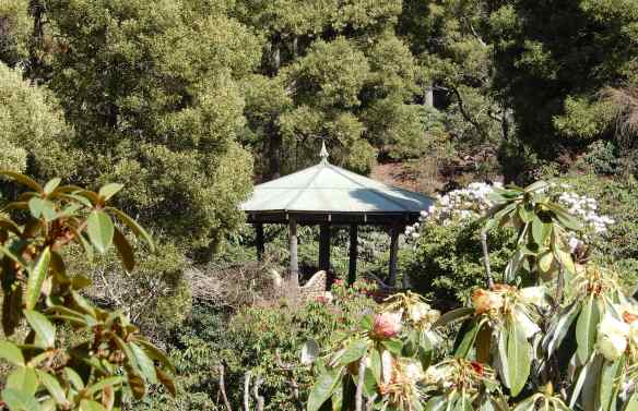19.main gazebo