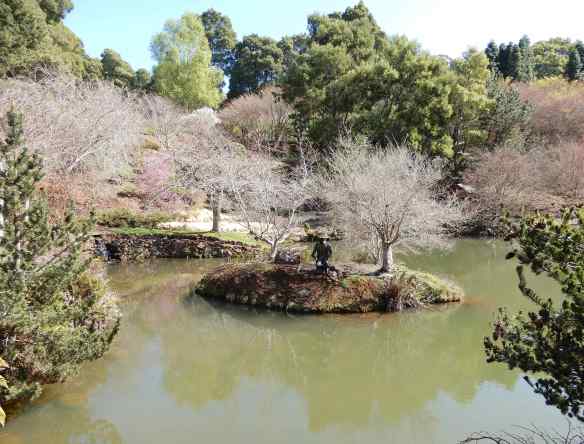 41.island, Sea of Japan