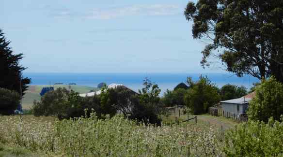 37.view to the north