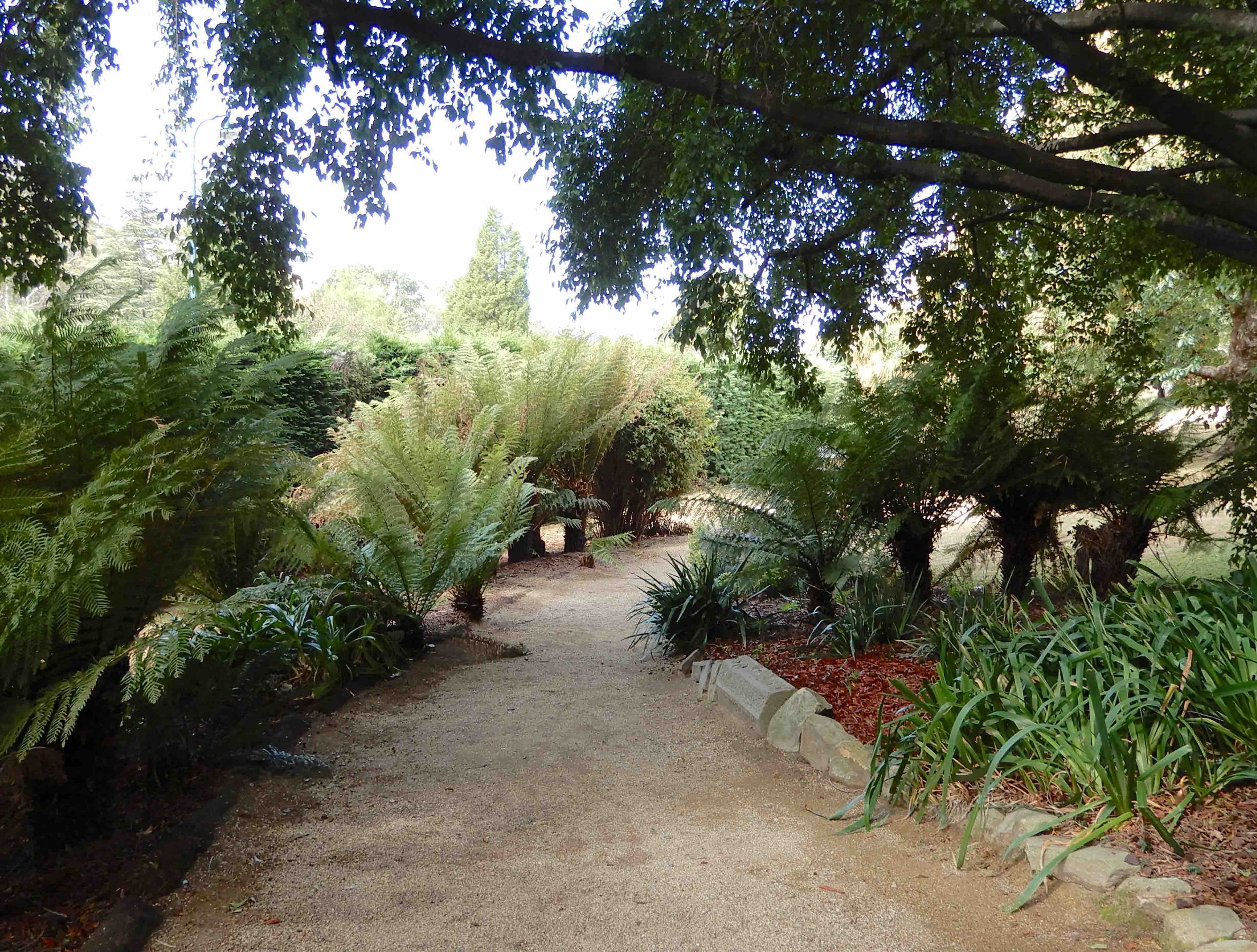 14.garden path