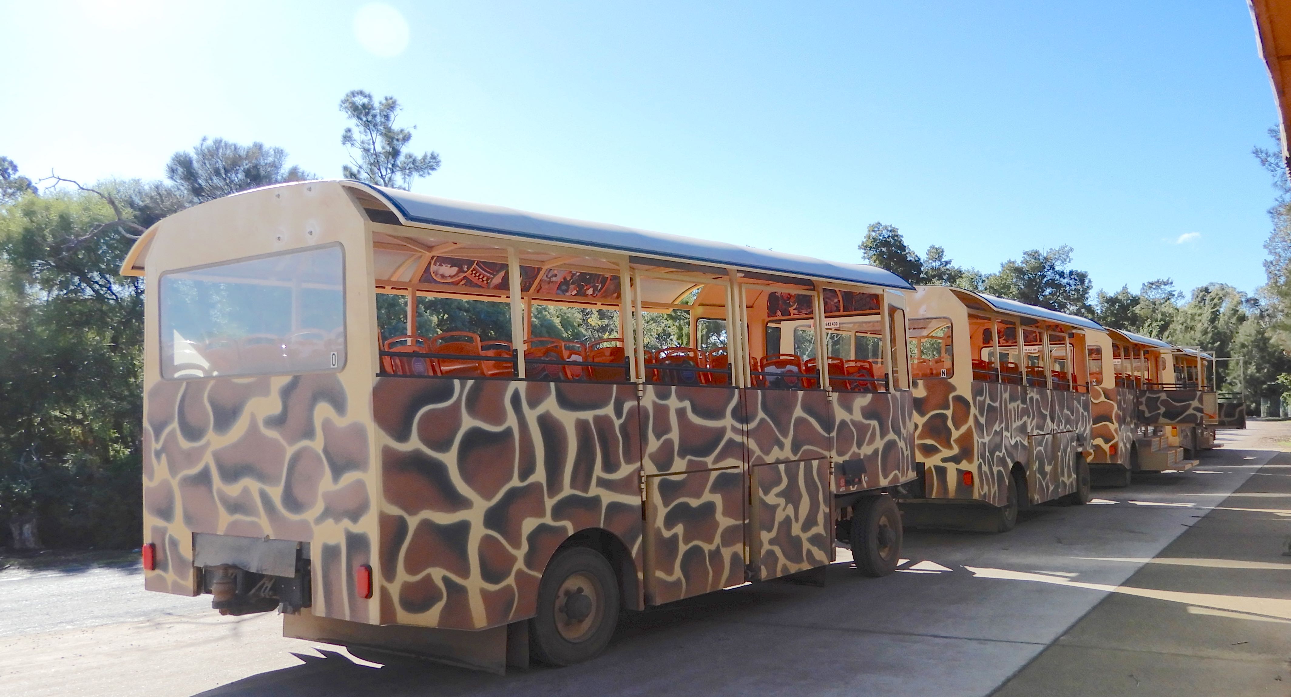 2.Safari Bus