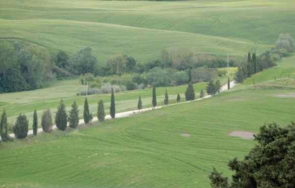 38.Val d'Orcia