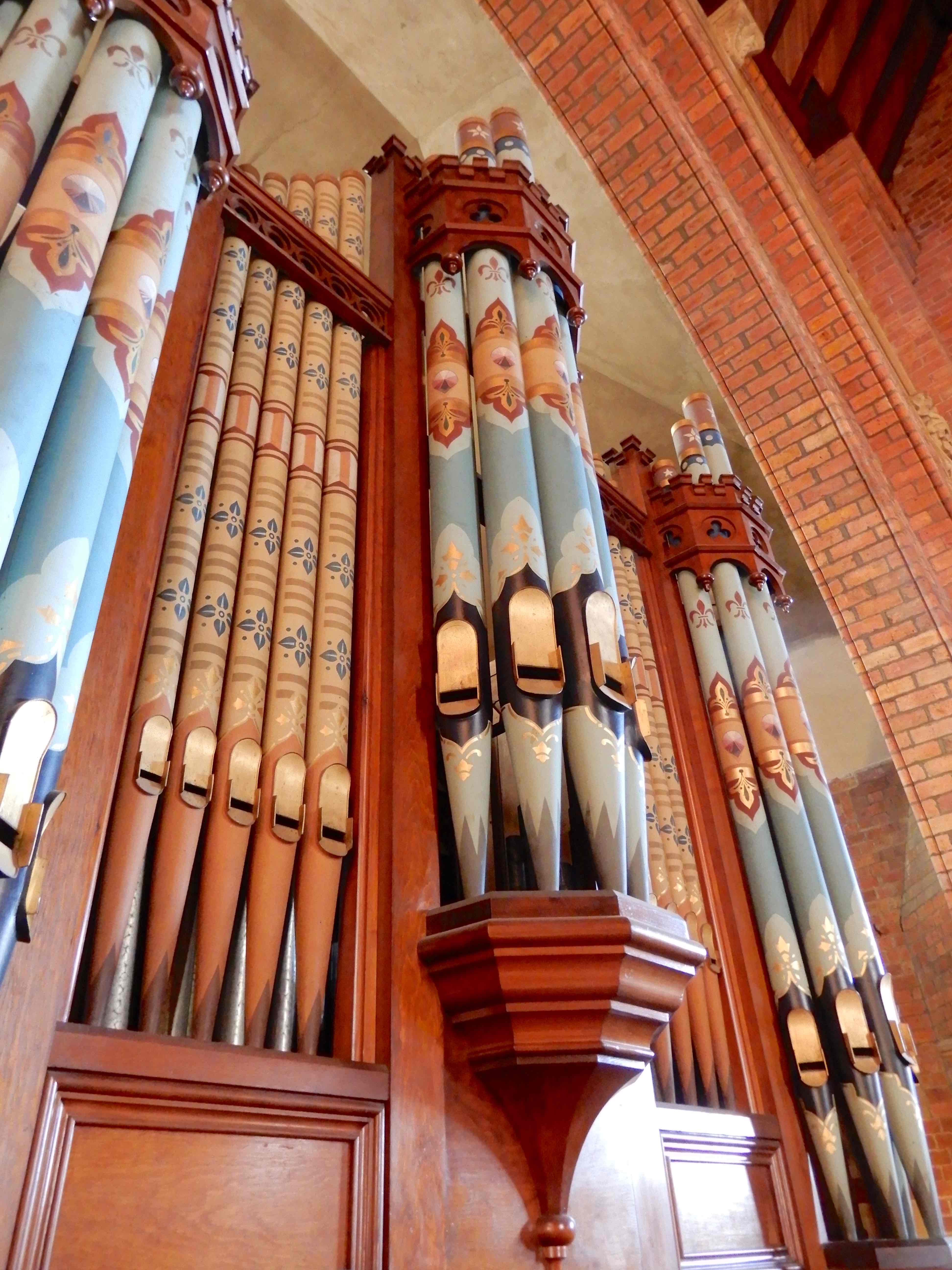 24.organ