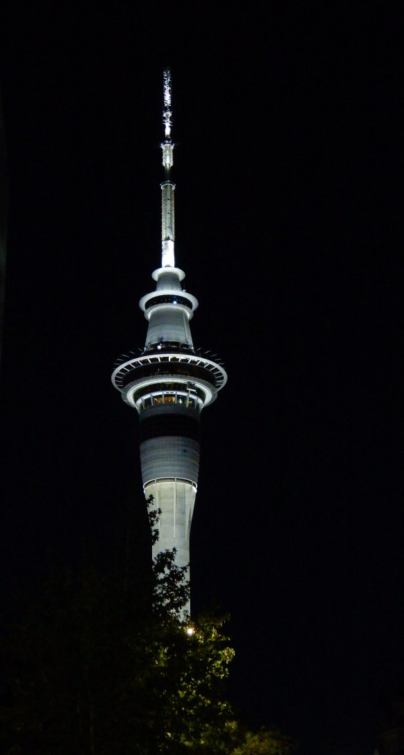 12.Sky Tower at night