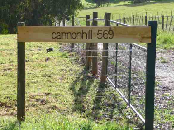 46.cannonhill 569